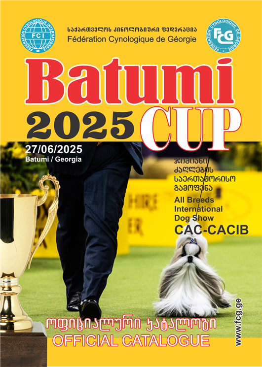 Batumi Cup 2025