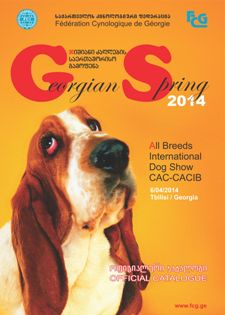 Georgian Spring 2014