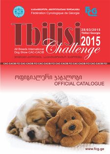 Tbilisi Challenge 2015