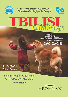 Tbilisi Challenge 2021