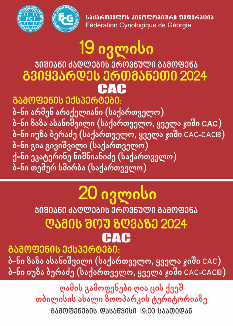 ღამის შოუ ზღვაზე 2024