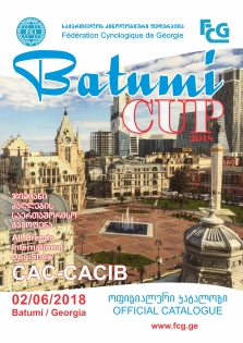 Batumi Cup 2018