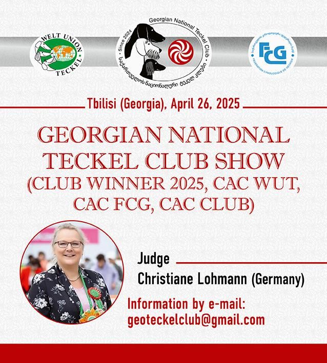 Georgian National Teckel Club Show 2025
