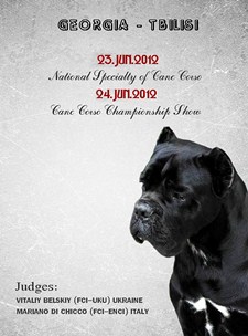 The Best Georgian Cane Corso 2012