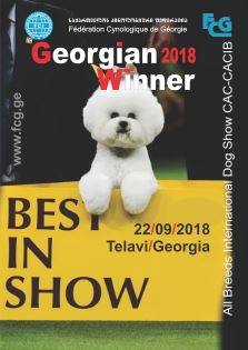 Georgian Winner 2018