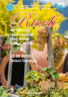 Rtveli 2018