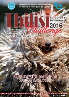 Tbilisi Challenge 2016