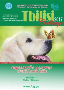 Tbilisi Challenge 2017