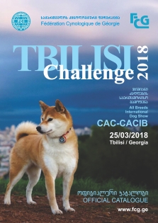 Tbilisi Challenge 2018