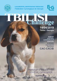 Tbilisi Challenge 2019